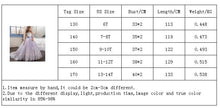 Load image into Gallery viewer, Lacey Junior Bridesmaids Dresses for Young Girls - 6-14 years old - Tulle Lace Flower Girl Dress Party Bridesmaid Dress