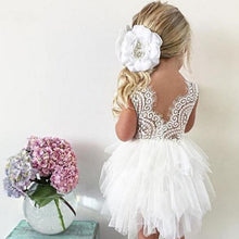 Load image into Gallery viewer, Toddler Girl Baby Clothing Dresses-Birthday-Party Occasion