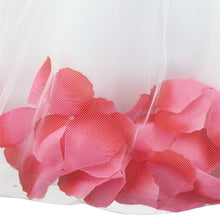 Load image into Gallery viewer, Flower Girl Petal Dress- Flower Corsage on Princess Waist - For Weddings - Infant Sizes